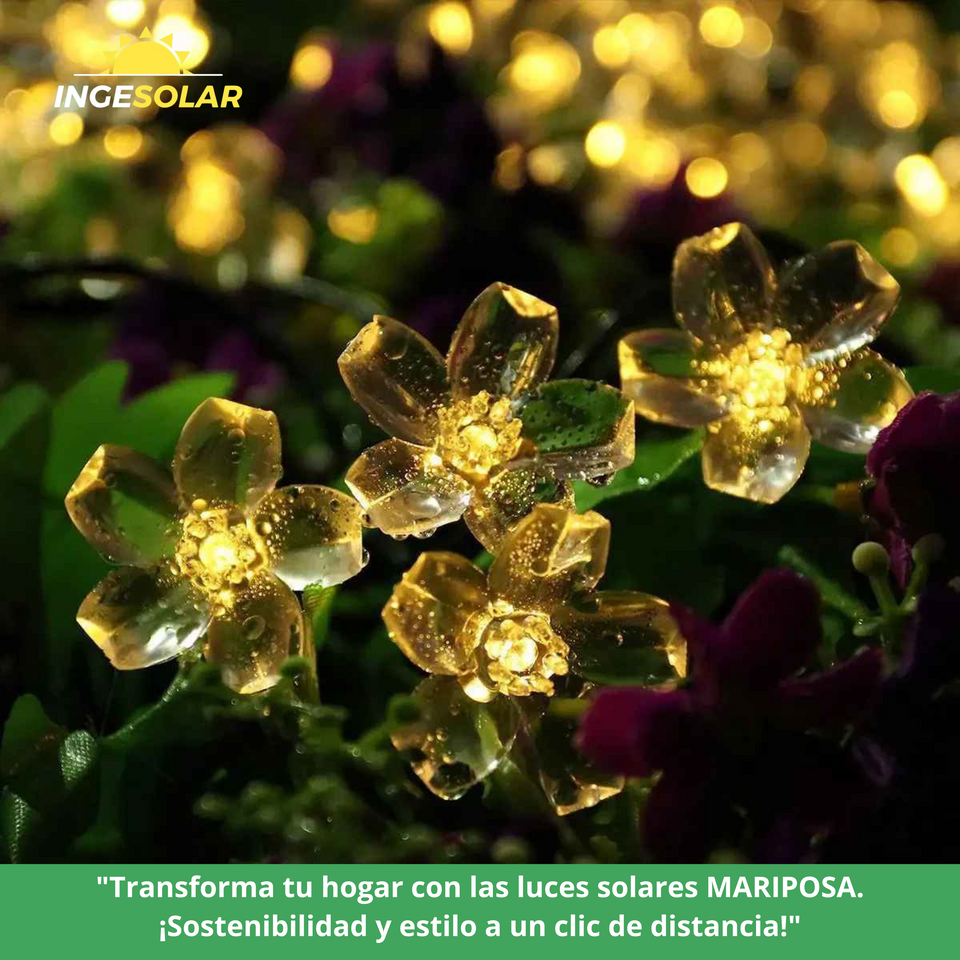 Luz de LED modelo MARIPOSA con panel Solar