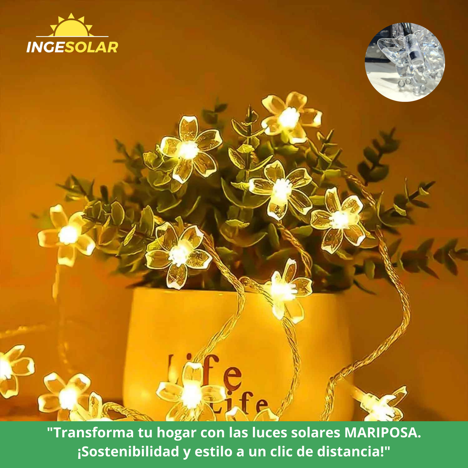 Luz de LED modelo MARIPOSA con panel Solar