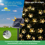 Luz de LED modelo MARIPOSA con panel Solar