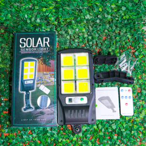 Aplique Solar Modelo Pastoral 50W